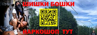 индика Заволжье