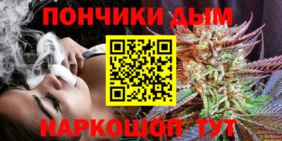 индика Заволжье