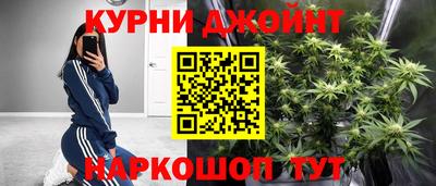 mdpv Заводоуковск