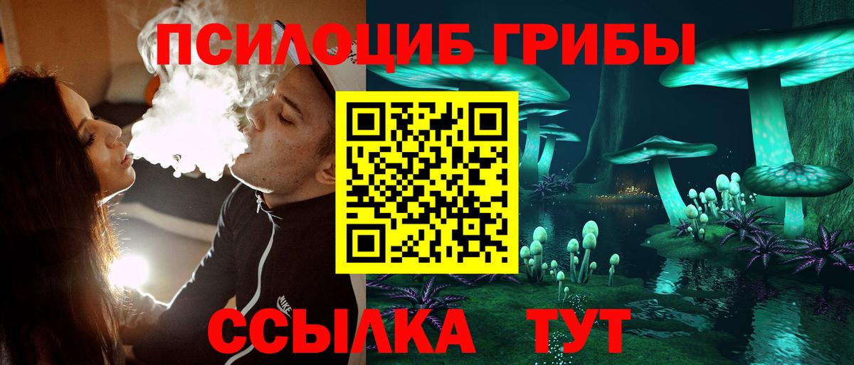 Псилоцибиновые грибы ЛСД  Вход с VPN  купить   Галлюциногенные грибы Cubensis  Владимир 